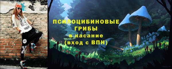 бошки Дмитров