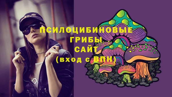 jwh Дмитровск