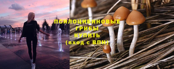 jwh Дмитриев