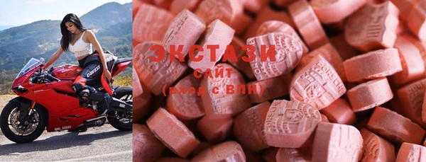 крисы Ельня