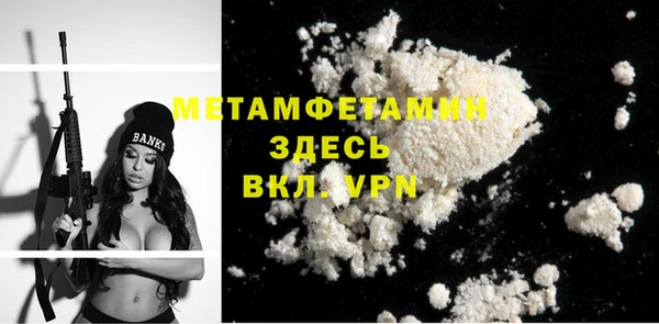 крисы Ельня