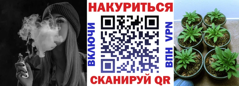 Конопля LSD WEED  Купить закладки  Кирс 